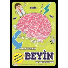 Prod Home Muhteşem Beyin ve Sinir Sistemi
