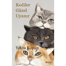 Prod Home Kediler Güzel Uyanır
