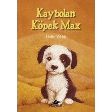 Prod Home Kaybolan Köpek Max