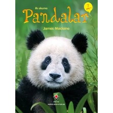 Prod Home Ilk Okuma - Pandalar