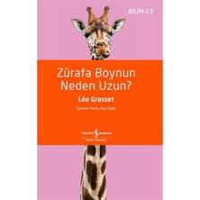 Ahl Shop Zürafa Boynun Neden Uzun?
