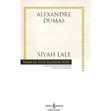 Ahl Shop Siyah Lale: Hasan Ali Yücel Klasikler Dizisi