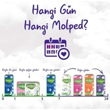 Ahl Shop Her Gün Ferahlık Günlük Ped 60 Adet