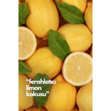 Ahl Shop Lemon-Limon Oda Kokusu Yedek Makine Spreyi 250 ml