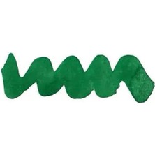 Diamine Forever Permanent & Waterproof Pigment Şişe Mürekkep 50ML Amazonia