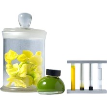 Kakimori Colour Specimen Dolma Kalem Mürekkebi 35 ml - Lemon Candy