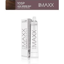 Ahl Shop Tüp Saç Boyası 60 ml 10SP Açık Gümüş Inci