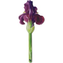 If Çiçek Kitap Ayracı Painted Iris 16503