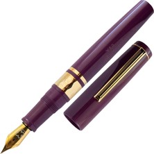 Esterbrook Model J Dolma Kalem Blackberry Ebonite Medium