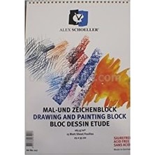 Ahl Shop Alex Schoeller 25X35 Resim Defteri 120 gr 15 Yp