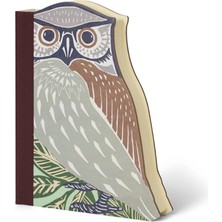 If Eclectionery Notable Books Owl Notluk 38612