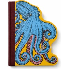 If Eclectionery Notable Books Octopus Notluk 38611