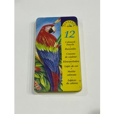 Fantasia 12 Renk Kuruboya