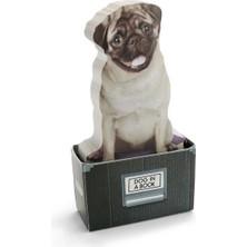 Mustard Dog In A Box Notluk