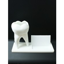 Abundix 3d Studio Diş Hekimi Masaüstü Organizer-Diş Figürlü Kartvizitlik ve Kalemlik