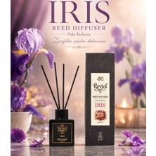 Reviol Irıs Oda Kokusu 100ML