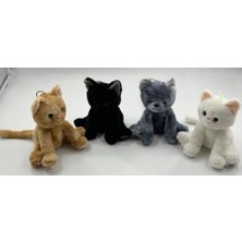 Bst Halley 25 cm Kedi Peluş Oyuncak Cocuk Hediyesi