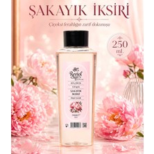 Reviol Şakayık Iksiri Edc 250ML