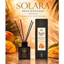 Reviol Solara Oda Kokusu 100ML