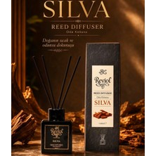 Reviol Silva Oda Kokusu 100ML