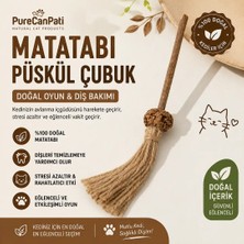 PureCanpati Matatabi Meyveli Püsküllü Kedi Oyuncağı – Doğal Çiğneme ve Oyun Çubuğu 1 Adet