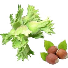 Sebze Meyve Dünyası Taze Fındık 2 kg