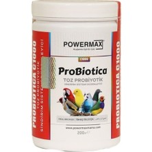 Powermax Probiyotica C1000 Süper Probiyotik 200GR