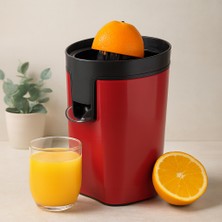 Akıllı Bayi Meyve Sıkacağı 2 Başlıklı 30W Aby