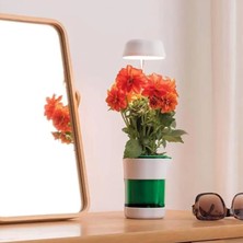 Uravas Store Hızlı Bitki Yetiştirme Saksısı