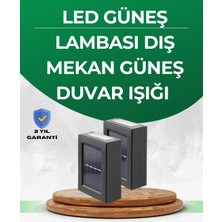 Armüz Şeffaf Abajurlu Duvar Tipi Solar Işık
