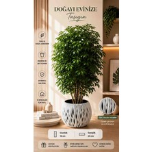 Deng Tasarım Modern Dalga Desenli Saksı
