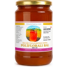 Polifloralı Çiçek Balı 1 Kg | Ballıöz Yaylaları Doğal Yayla Balı | Katkısız
