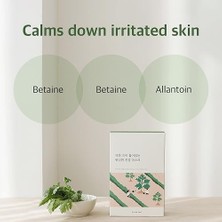 Roundlab Mugwort Calming Mask Yüz Maskesi 25 ml (10 Adet)
