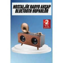 Armüz Gramafon Radyo Bluetooth Hoparlör Nostaljik Radyo Fm Radyo
