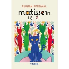 Vavis Matisse'in Işığı