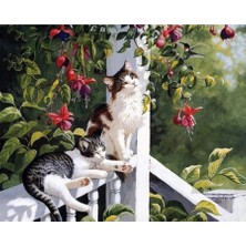 İğne İzi Hı Stone 5d Elmas Boncuk Taş Işleme Mozaik Goblen Kit 50X65CM SGK70224