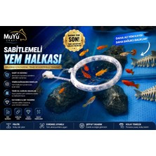 Muyu Craft Sabitlemeli Akvaryum Yem Halkası | Dağılmayan Yemleme Sistemi | 10 cm Şeffaf M Boy