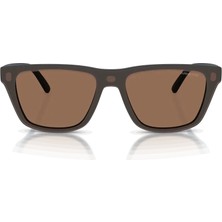 Arnette 4376 27591W 55 Erkek Güneş Gözlüğü