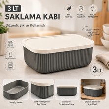 Homing Çok Amaçlı 3 Lt Organizer Saklama Kutusu
