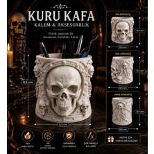 Ddm Global Gotik Kuru Kafa Kalemlik ve Masaüstü Organizer – Dekoratif Kalemlik, Ofis ve Çalışma Masası Aksesuarı (9,5 x 9,5 Cm)