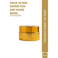 Glone Kolajen Anti Aging Yüz Kremi | Yaşlanma Belirtileri İçin Sıkılık ve Nem Desteği | Somon DNA & Niacinamide | 50 ml