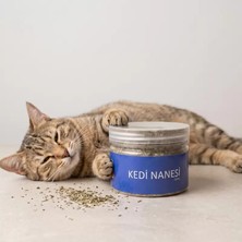 Ronanna Doğal Kedi Nanesi (Catnip) - 250 ml Kavanoz - Eğlenceli ve Doğal