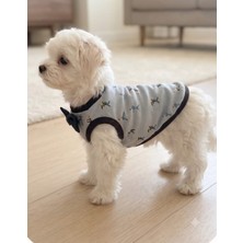 Atelyu Kedi Köpek Kıyafeti Papyonlu Tshirt