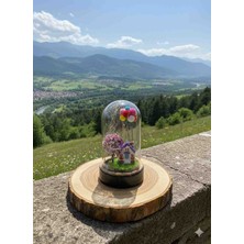 Miniyumy Dekoratif Fanus Led'li Balon Ev Masa, Gece Lambası