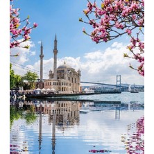 Duck Hoby 50X40 Boncuklu Taş Mozaik Elmas Goblen Elmas Boyama Resim Boncuk Puzzle Dıamond Paıntıng Hı Stone