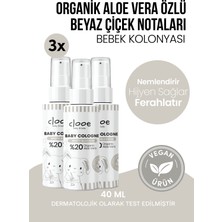 Clooe Alüminyumsuz Vegan Bebek Kolonyası Organik Aloe Vera Özlü White Blossom Kalıcı Ferahlık 40ML 3'lü Set