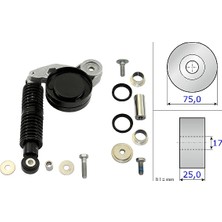 Ina V Kayış Gergi Kütüğü Komple Vw Passat - A4 - A6 2.5 Tdı 1997-2004 059145283A