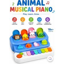 PopŞeker Işıklı ve Sesli Hayvan Temalı Oyuncak Bebek Piyanosu - Eğitici Müzik Kutusu