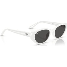 Ray-Ban Güneş Gözlüğü