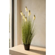 Acar Beyaz Şebboy Saksılı Yapay Çiçek 90CM